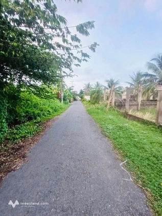 Bất động sản tại Bến Tre - ảnh 1