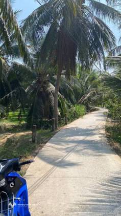 Bất động sản tại Bến Tre - ảnh 1