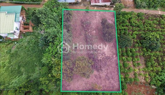 Bất động sản tại Lâm Đồng - ảnh 1