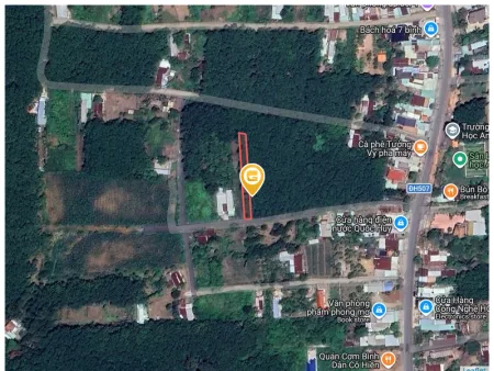 Bất động sản tại Bình Dương - ảnh 1