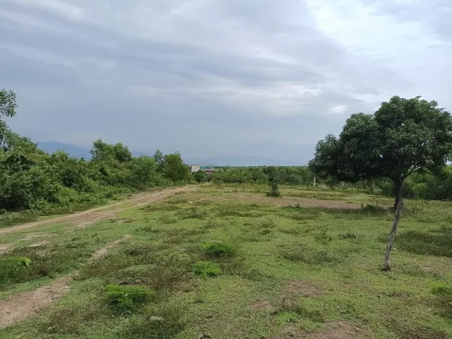 Bất động sản tại Khánh Hòa - ảnh 1