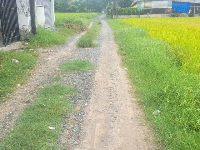 Bất động sản tại Tây Ninh - ảnh 1