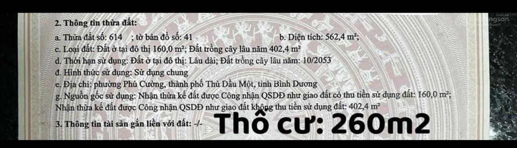 Bất động sản tại Bình Dương - ảnh 1