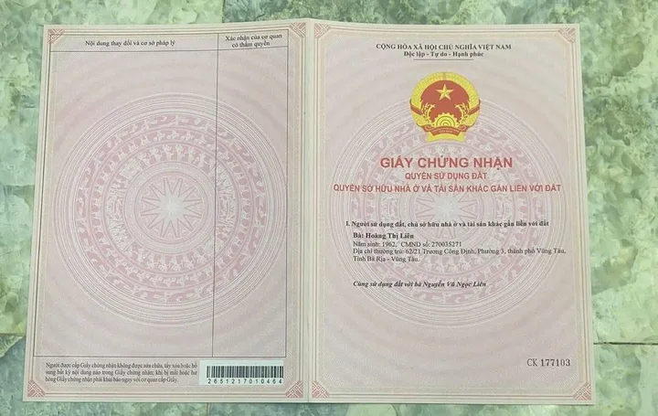 Bất động sản tại Bà Rịa - Vũng Tàu - ảnh 1