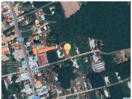 Bất động sản tại Bình Dương - ảnh 1