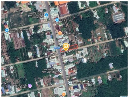 Bất động sản tại Bình Dương - ảnh 1