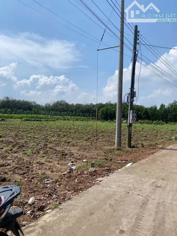 Bất động sản tại Bình Dương - ảnh 1