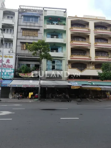 Bất động sản tại TP. Hồ Chí Minh - ảnh 1