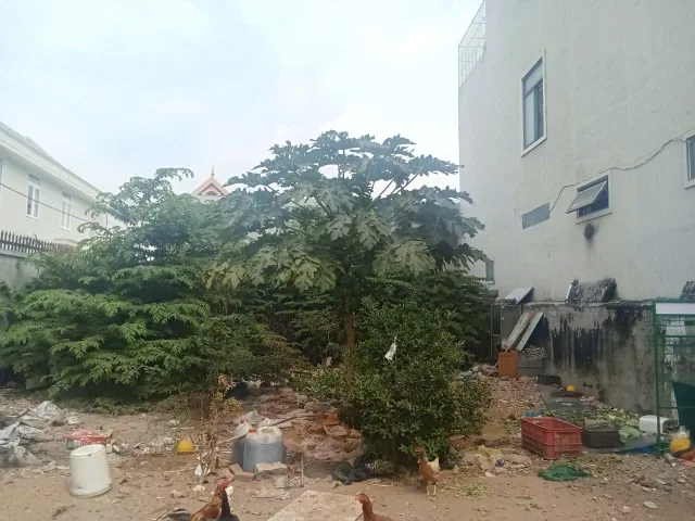Bất động sản tại Bà Rịa - Vũng Tàu - ảnh 1