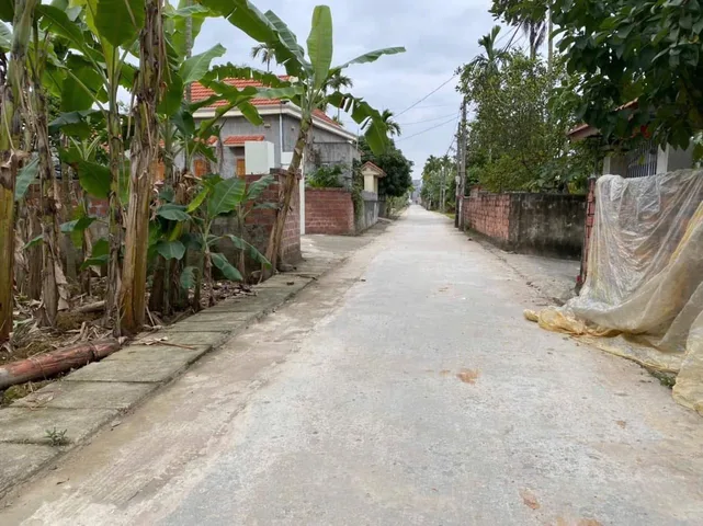 Bất động sản tại Hải Phòng - ảnh 1