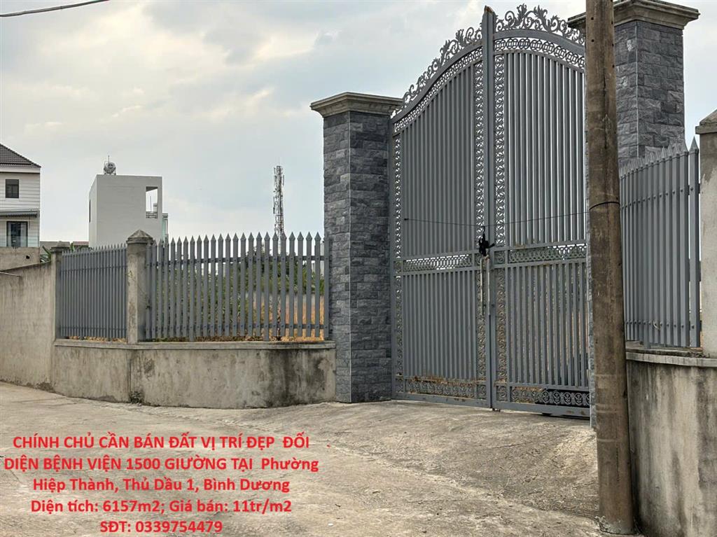 Bất động sản tại Bình Dương - ảnh 1