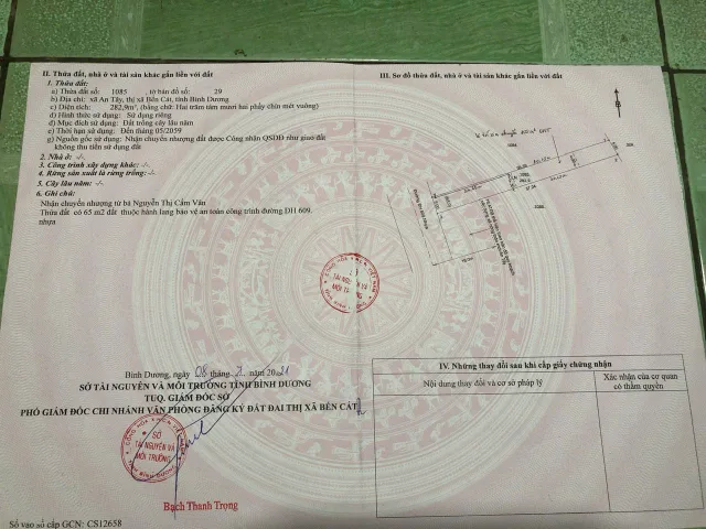 Bất động sản tại Bình Dương - ảnh 1