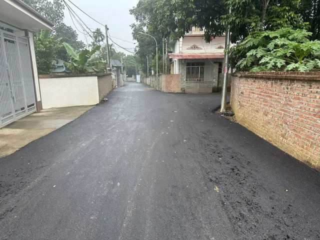 Bất động sản tại Phú Thọ - ảnh 1