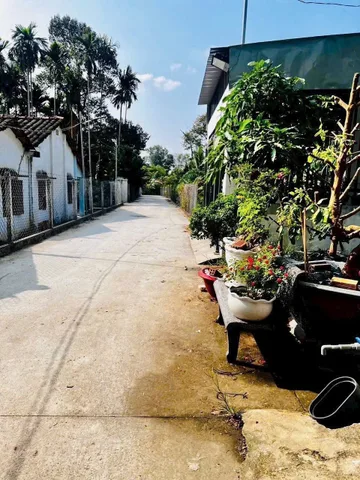 Bất động sản tại Bình Dương - ảnh 1