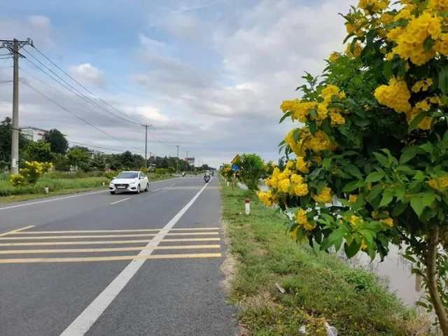 Bất động sản tại Cần Thơ - ảnh 1