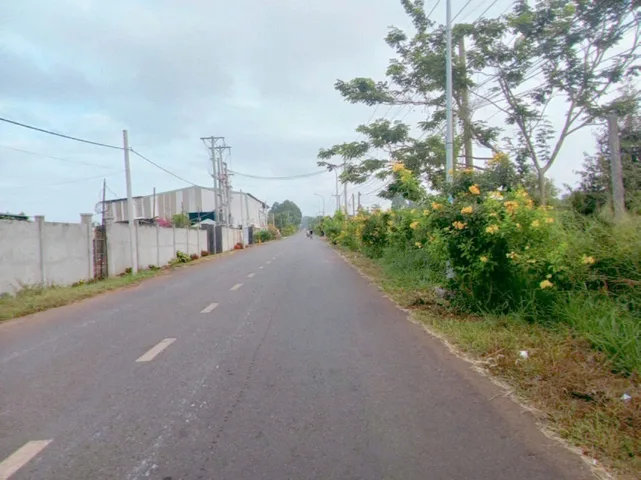Bất động sản tại Bà Rịa - Vũng Tàu - ảnh 1
