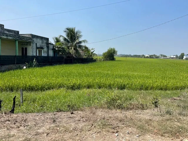 Bất động sản tại Tây Ninh - ảnh 1