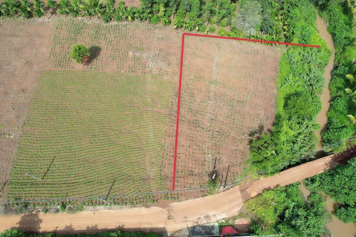 Bất động sản tại Đắk Lắk - ảnh 1