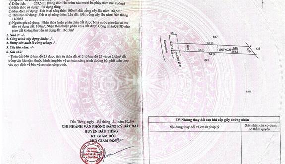 Bất động sản tại Bình Dương - ảnh 1