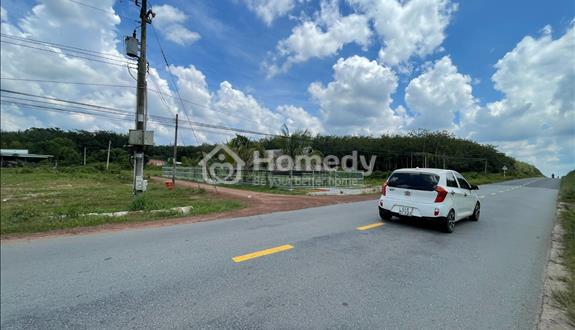 Bất động sản tại Bình Dương - ảnh 1