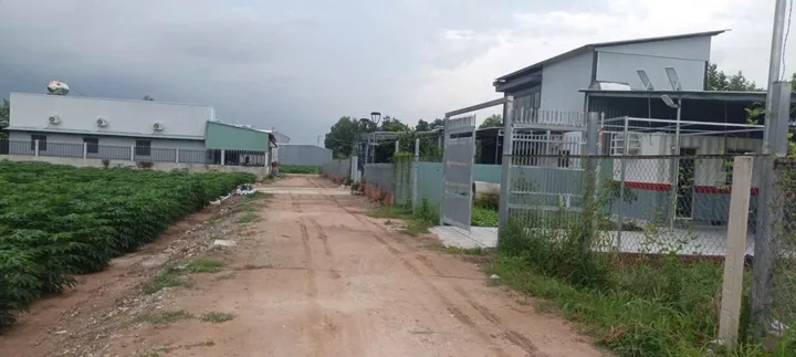 Bất động sản tại TP. Hồ Chí Minh - ảnh 1