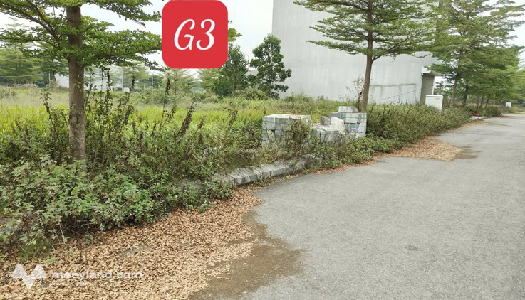 Bất động sản tại Vĩnh Phúc - ảnh 1