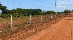 Bất động sản tại Tây Ninh - ảnh 1