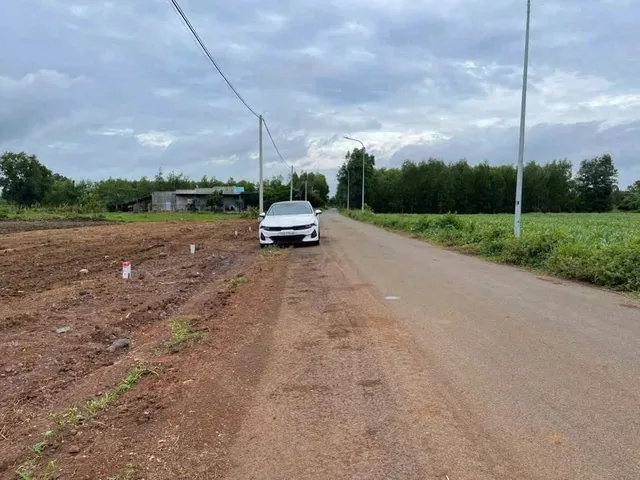 Bất động sản tại TP. Hồ Chí Minh - ảnh 1