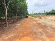 Bất động sản tại Tây Ninh - ảnh 1