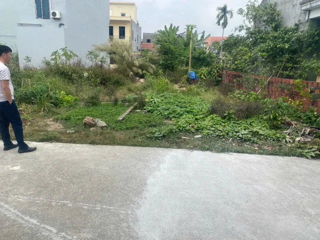 Bất động sản tại Hải Phòng - ảnh 1