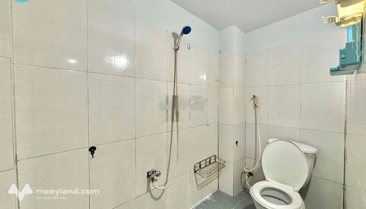 Bất động sản tại TP. Hồ Chí Minh - ảnh 1