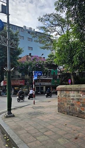Căn hộ / chung cư tại Ba Đình, Hà Nội - ảnh 4