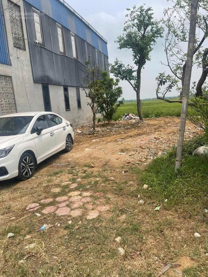 Bất động sản tại Nghệ An - ảnh 1