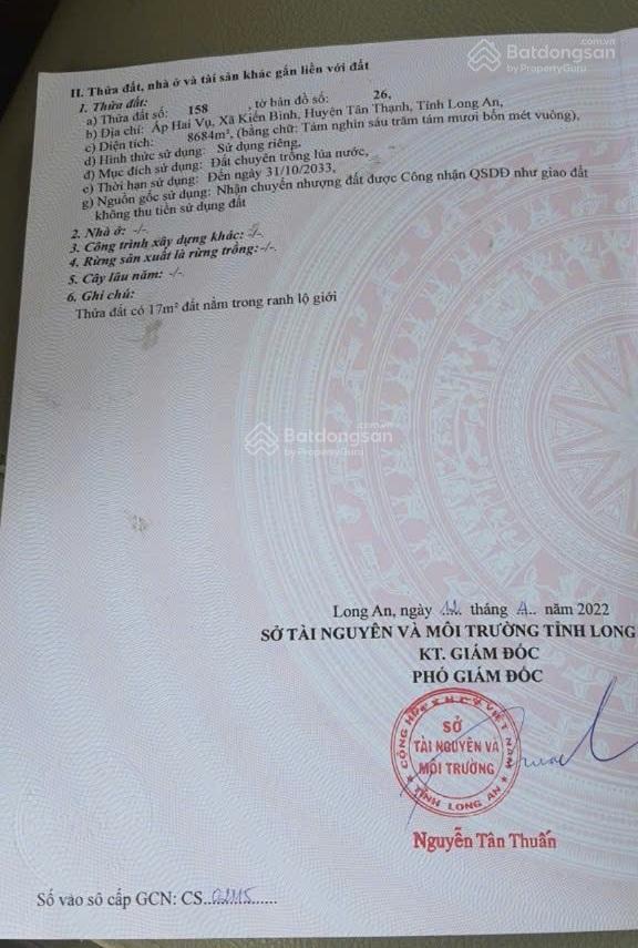 Bất động sản tại Long An - ảnh 1