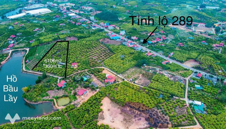 Bất động sản tại Bắc Giang - ảnh 1