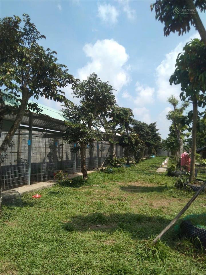 Bất động sản tại Long An - ảnh 1