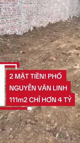 Bất động sản tại Hưng Yên - ảnh 1