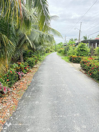 Bất động sản tại Tiền Giang - ảnh 1