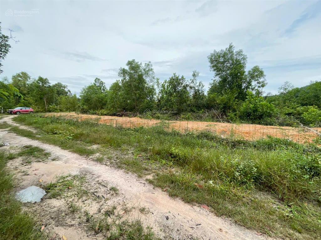 Bất động sản tại Kiên Giang - ảnh 1