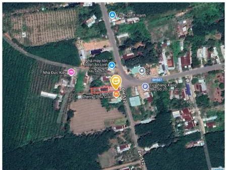 Bất động sản tại Bình Dương - ảnh 1