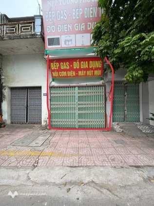 Bất động sản tại Bắc Giang - ảnh 1