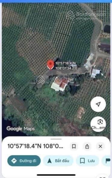 Bất động sản tại Bình Thuận - ảnh 1