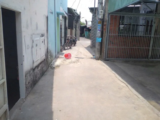 Bất động sản tại Bình Dương - ảnh 1