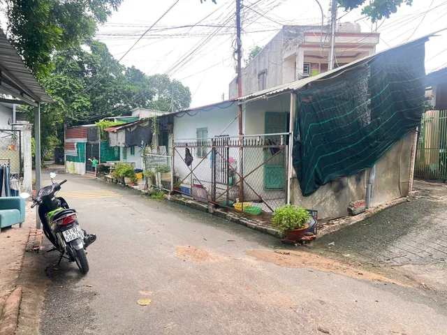 Bất động sản tại Bình Dương - ảnh 1