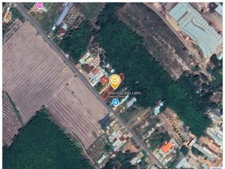 Bất động sản tại Bình Phước - ảnh 1