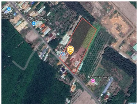 Bất động sản tại Bình Phước - ảnh 1