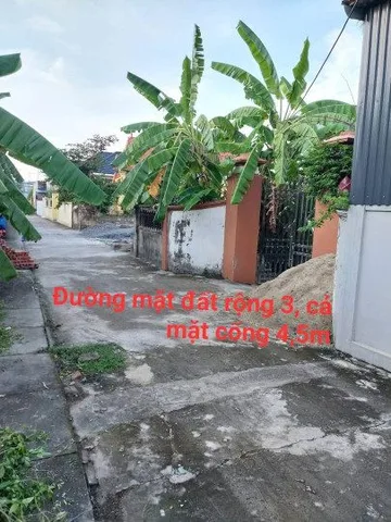 Bất động sản tại Hải Phòng - ảnh 1