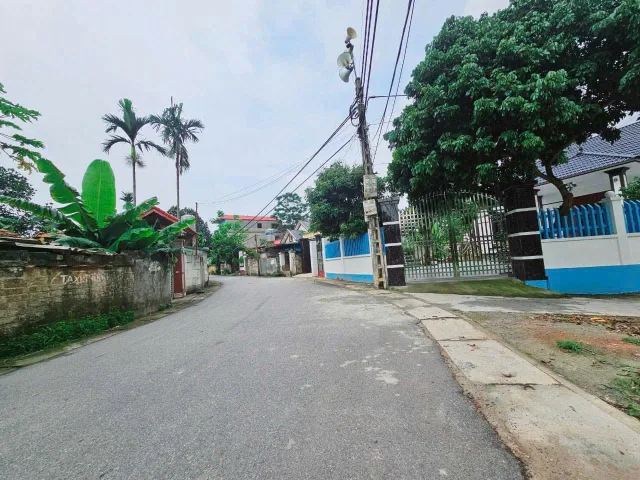 Bất động sản tại Phú Thọ - ảnh 1