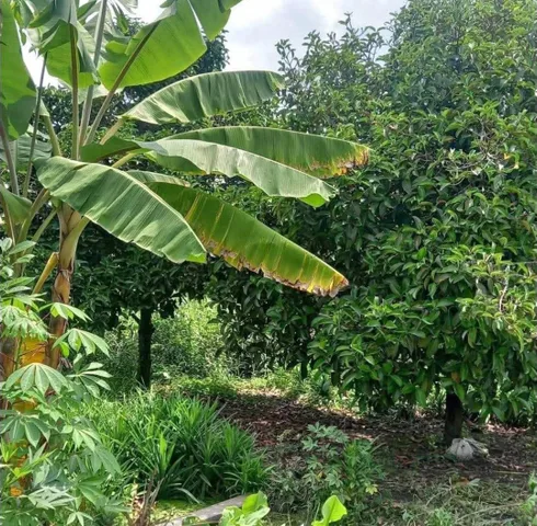 Bất động sản tại Đồng Nai - ảnh 1