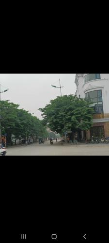 Bất động sản tại Bắc Ninh - ảnh 1